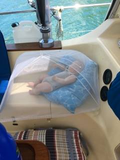 14348623_1595525387410691_486584185_n