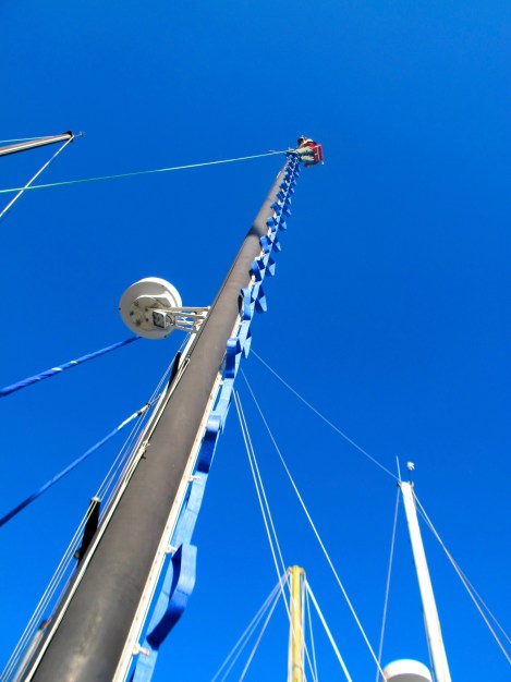 Frank at the top of the mast