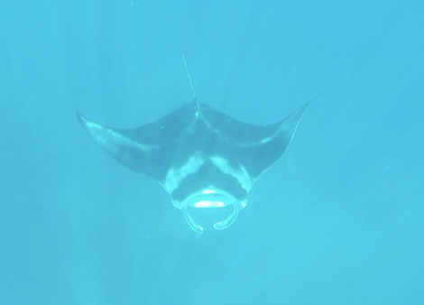 screen-shot-2016-10-08-at-10-29-17-am