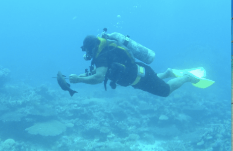 screen-shot-2016-10-08-at-10-53-42-am