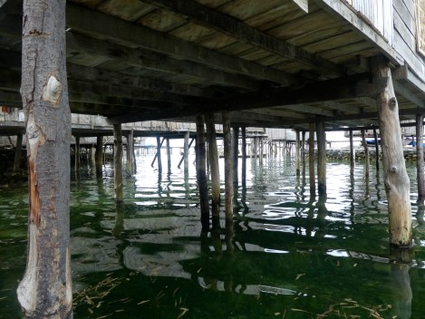 tree trunk poles as supports