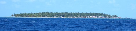 Tiger islands