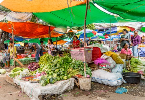 DKG-2018-FLORES (13 of 110)