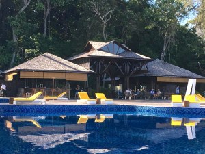 38120995_10156740145148679_4613631647202410496_n