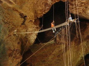 Harvesting-Cave-Swiftlet-nests-at-Gomantong-Caves-Source-Travel-Guide-Gomantong-Caves.html