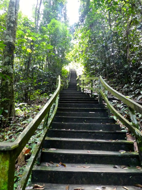 temburong steps
